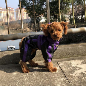 Imperméable Complet pour Chien en Tissu Oxford avec Jambes et Capuche