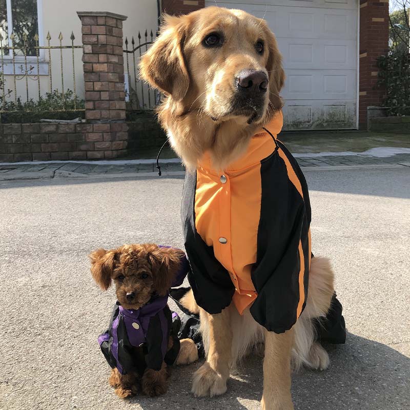 Imperméable Complet pour Chien en Tissu Oxford avec Jambes et Capuche