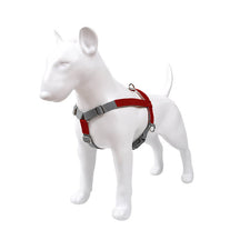 Harnais pour chien en cuir PU réglable et respirant