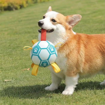Balle de soccer en forme d'empreinte de patte pour chien avec sangles.