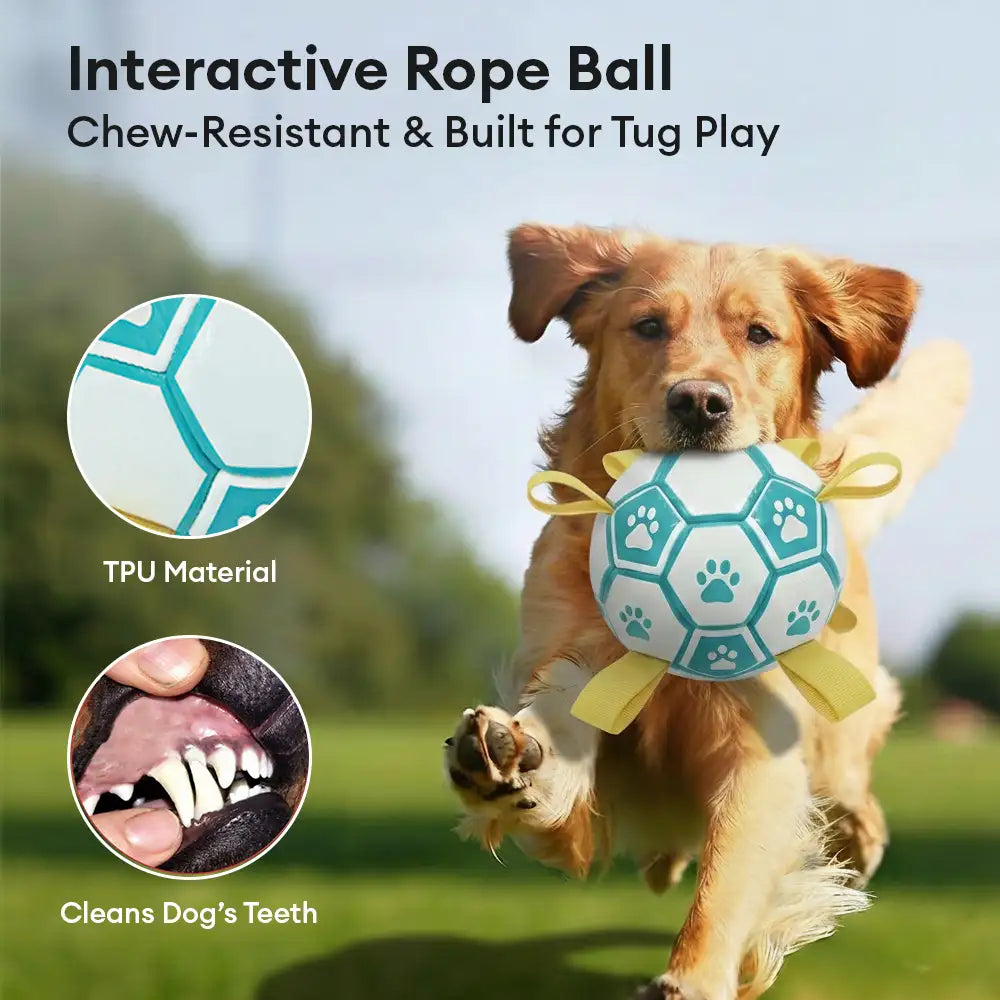 Balle de soccer en forme d'empreinte de patte pour chien avec sangles.