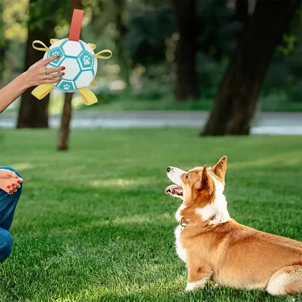 Balle de soccer en forme d'empreinte de patte pour chien avec sangles.