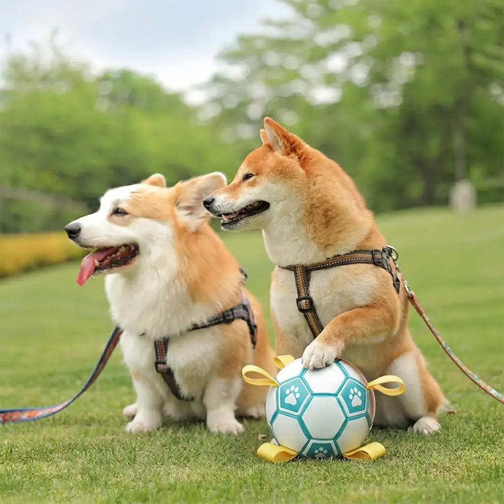 Balle de soccer en forme d'empreinte de patte pour chien avec sangles.