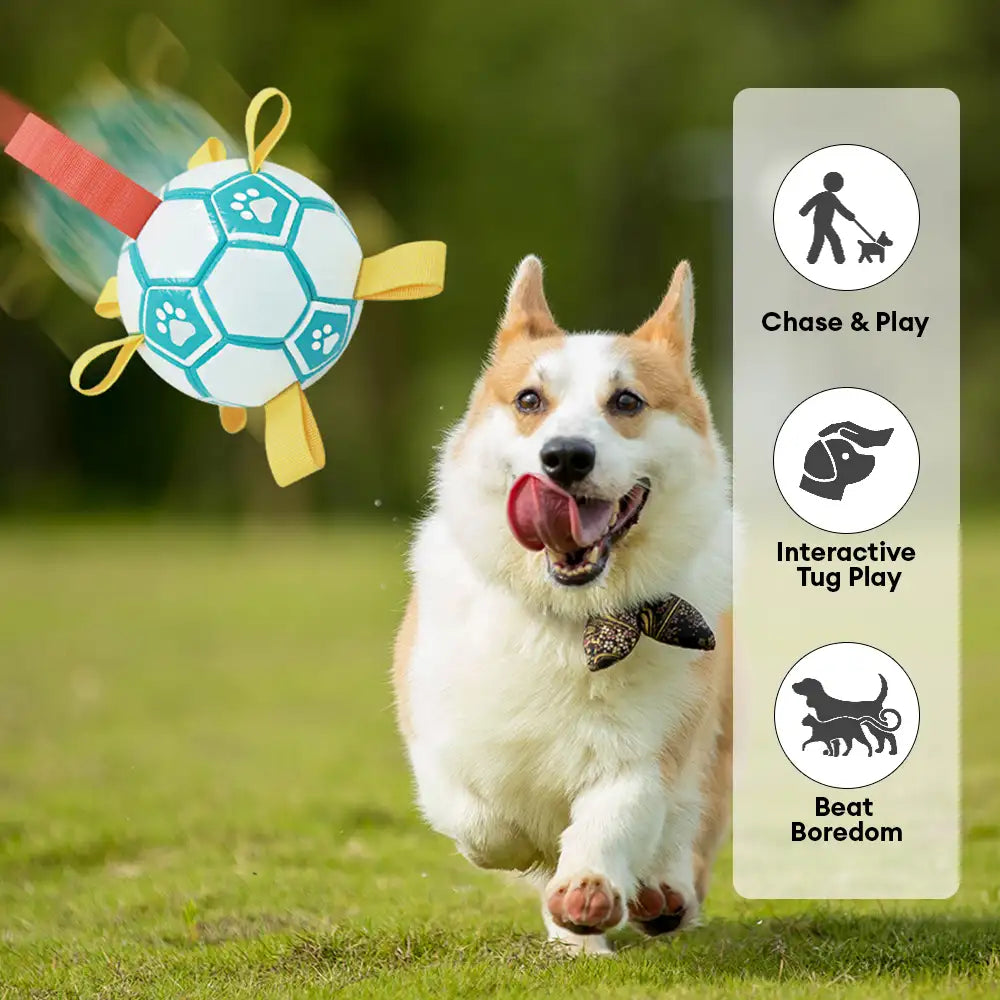 Balle de soccer en forme d'empreinte de patte pour chien avec sangles.