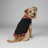 Gilet tricoté torsadé pour chien avec col à carreaux idéal pour l'automne et l'hiver