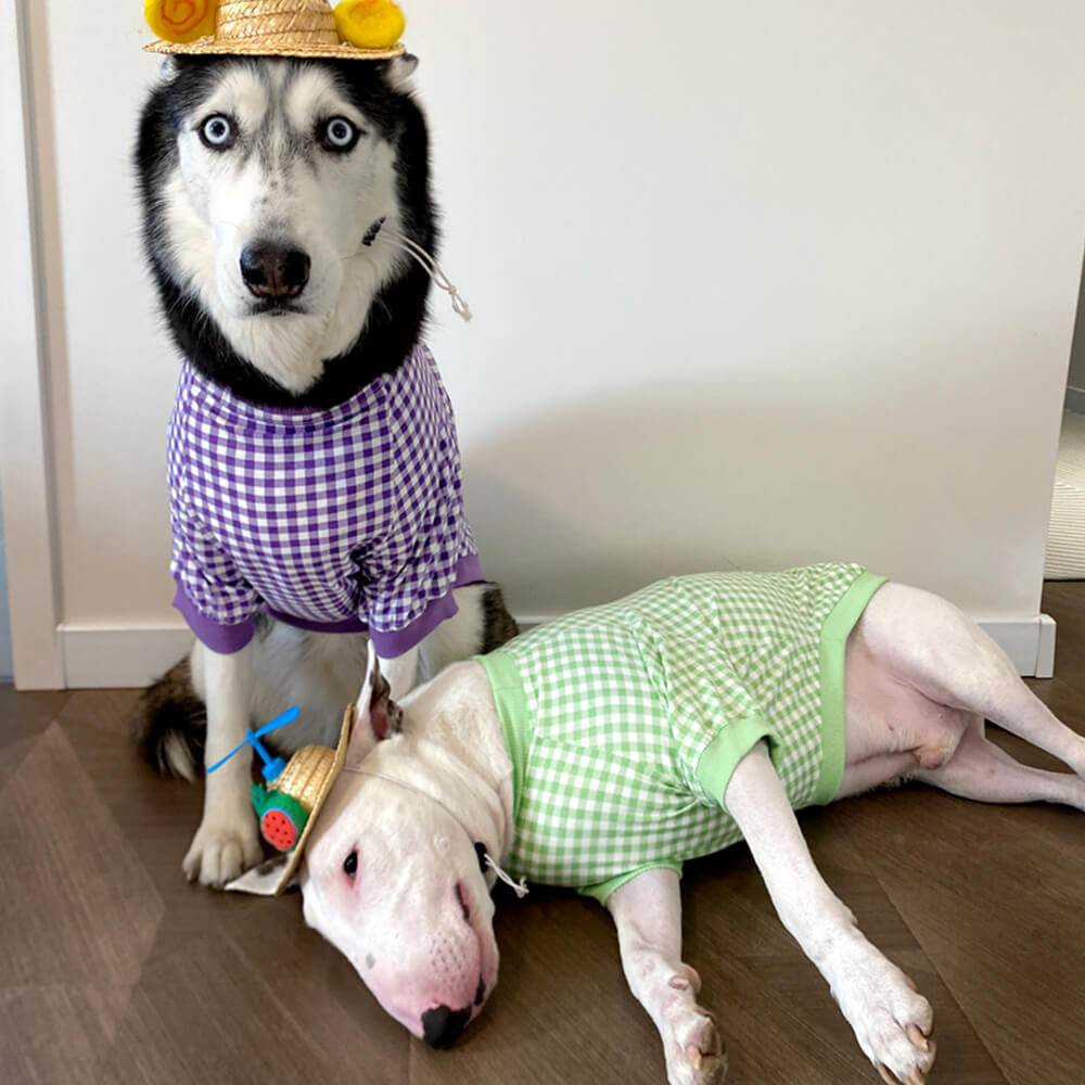 T-Shirt à Manches Courtes à Carreaux pour Chien