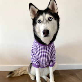 T-Shirt à Manches Courtes à Carreaux pour Chien