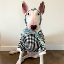 T-Shirt à Manches Courtes à Carreaux pour Chien