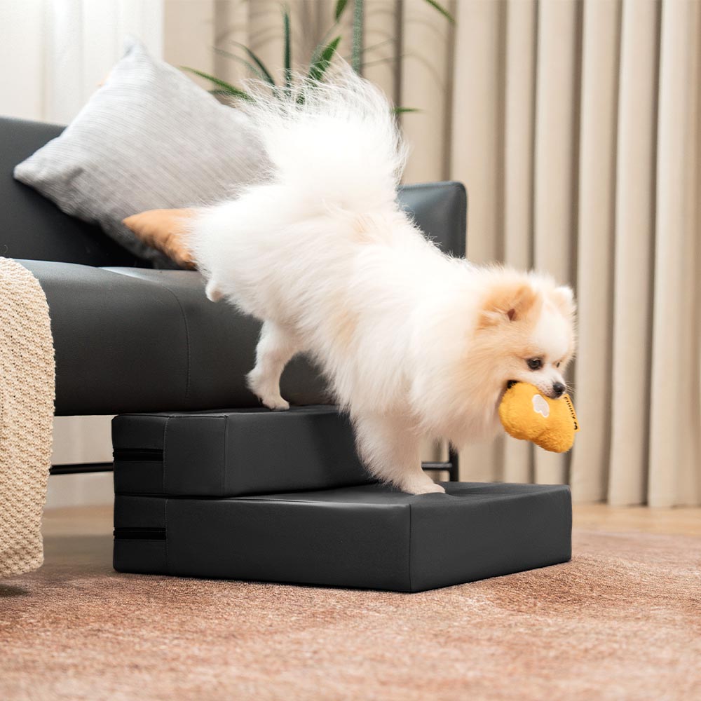 Escaliers pour animaux modulables à plusieurs niveaux en cuir PU imperméable et lavable