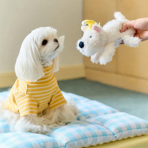 Tapis pour chien confortable, lavable, double couche, tout-en-un - Exclusivité pour animaux de compagnie.