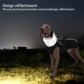 Veste imperméable chaude à col haut et réfléchissante pour chien