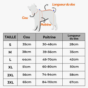 Gilet Respirant Prévention Insolation Gilet Refroidissant Pour Chien Imbibable