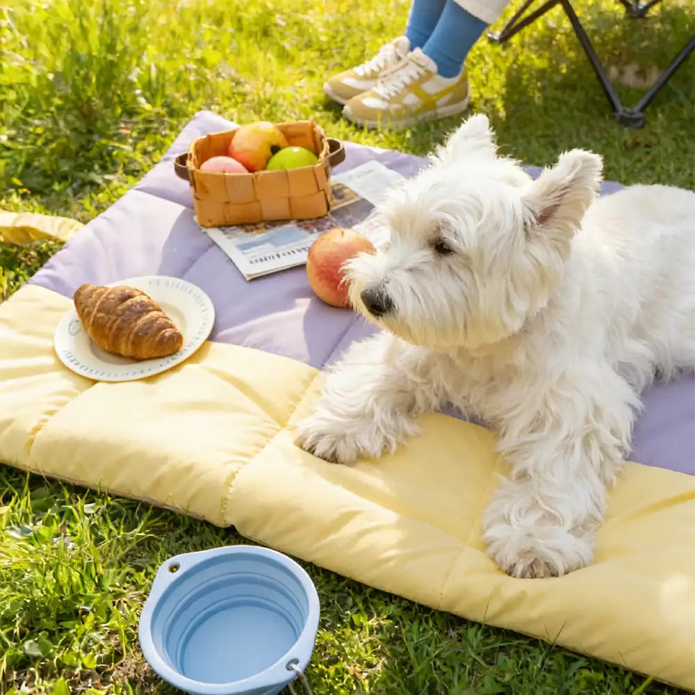 Matelas pour chien pliable, portable et réversible, résistant à l'eau, pour les voyages et le camping en extérieur.