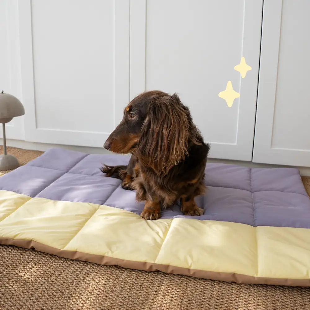 Matelas pour chien pliable, portable et réversible, résistant à l'eau, pour les voyages et le camping en extérieur.