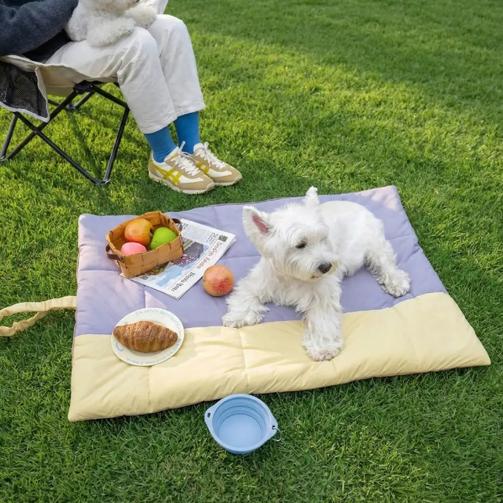 Matelas pour chien pliable, portable et réversible, résistant à l'eau, pour les voyages et le camping en extérieur.