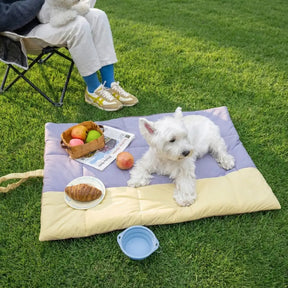 Matelas pour chien pliable, portable et réversible, résistant à l'eau, pour les voyages et le camping en extérieur.