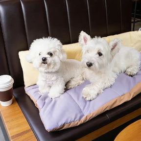 Matelas pour chien pliable, portable et réversible, résistant à l'eau, pour les voyages et le camping en extérieur.