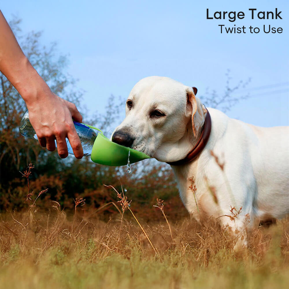 Distributeur d'eau de voyage portable en forme de feuille pour chien