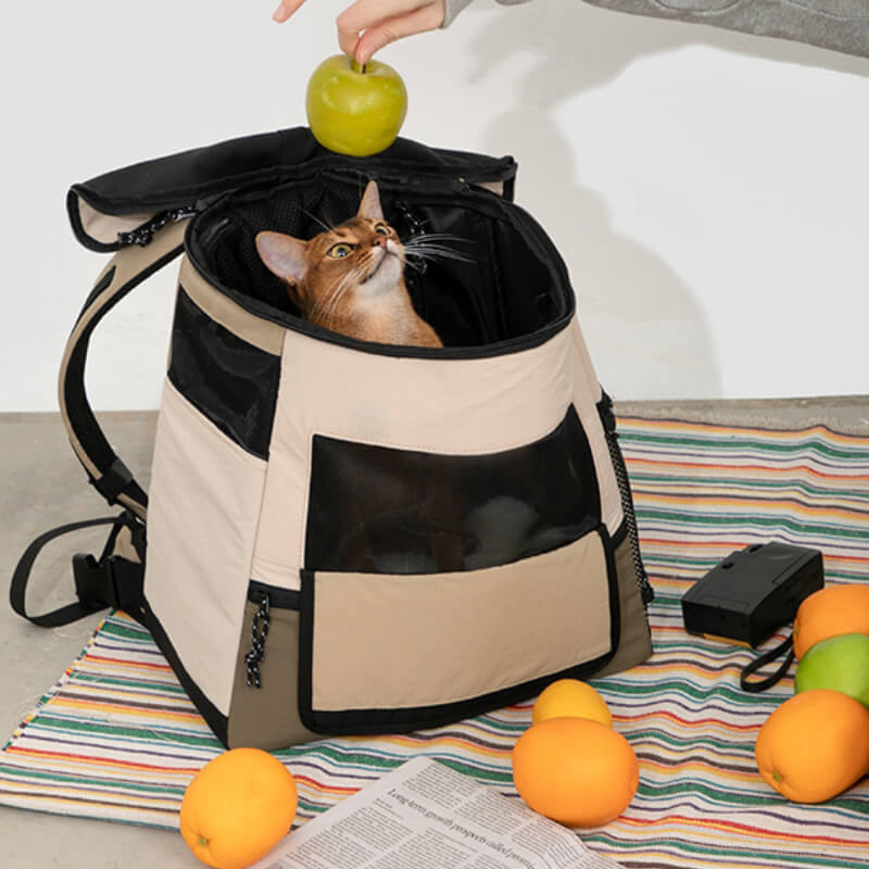 Sac de Voyage Portable pour Animaux Extérieur Imperméable Sac à Dos pour Chat