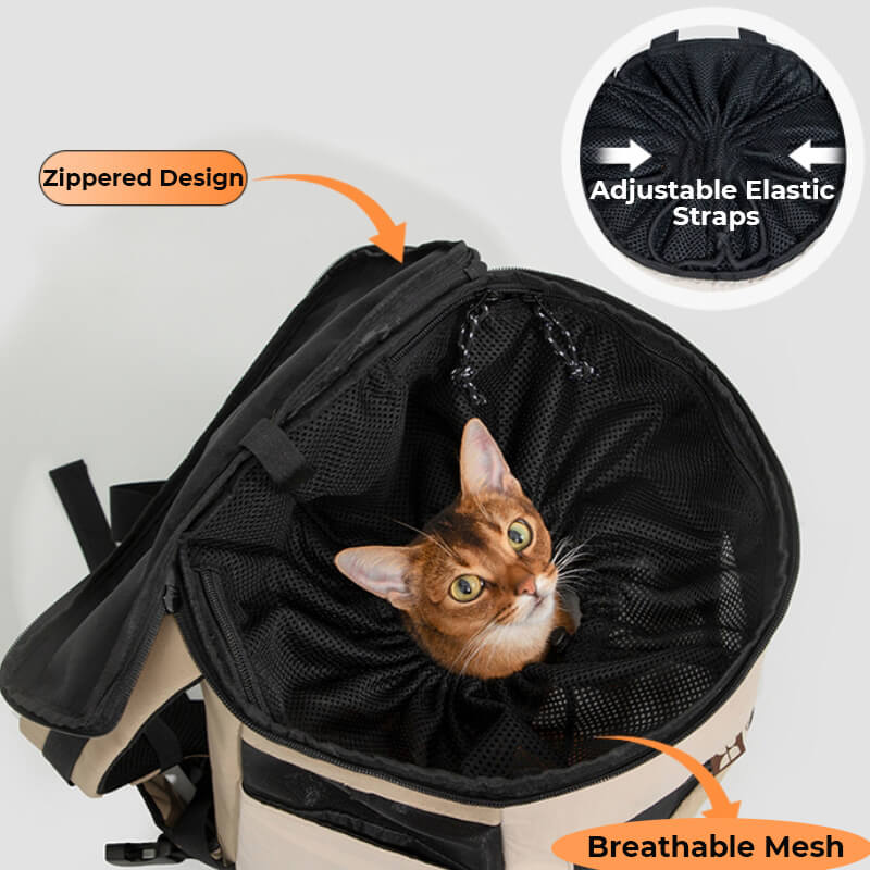 Sac de Voyage Portable pour Animaux Extérieur Imperméable Sac à Dos pour Chat