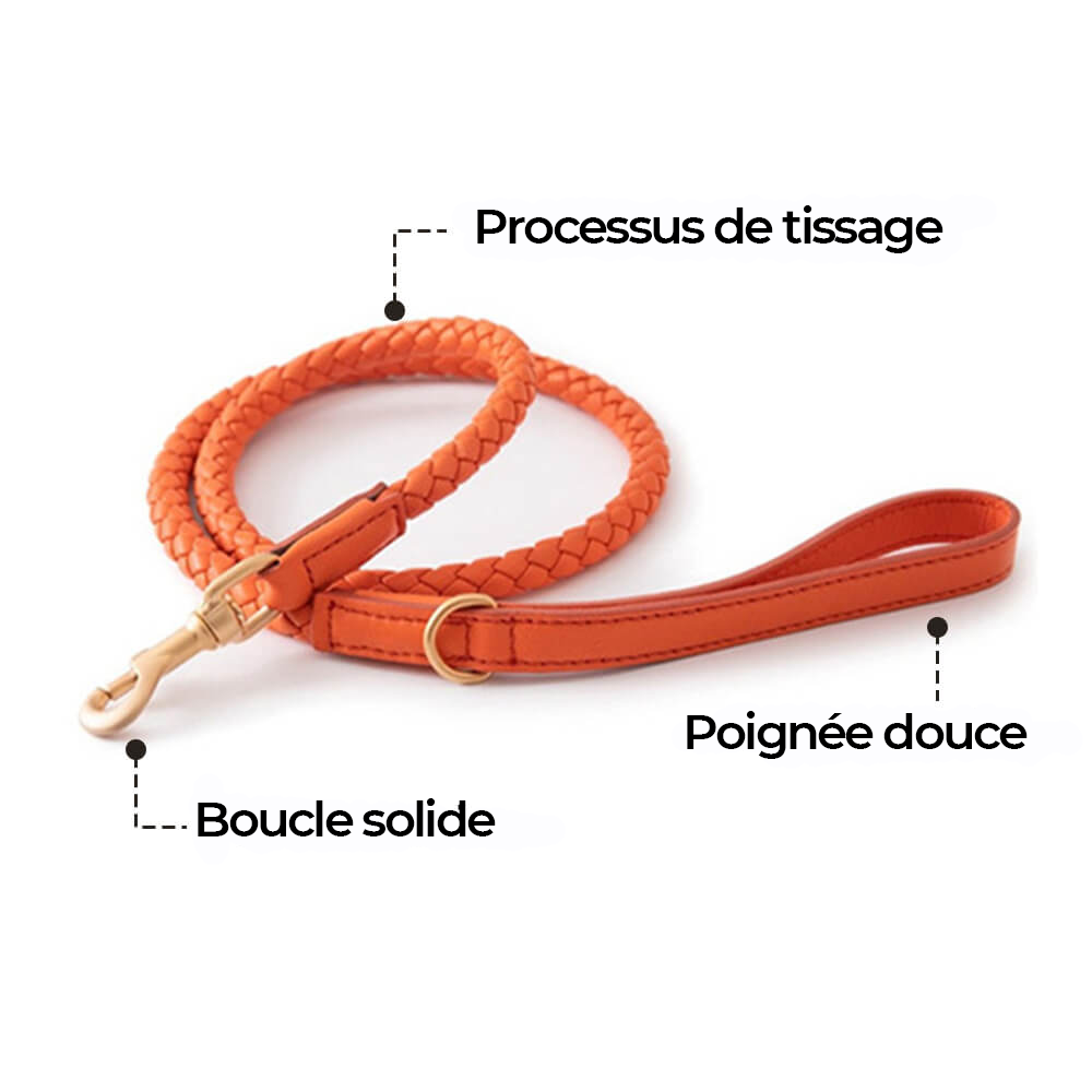 Ensemble Collier et Laisse pour Chiot en Similicuir Tressé à la Main