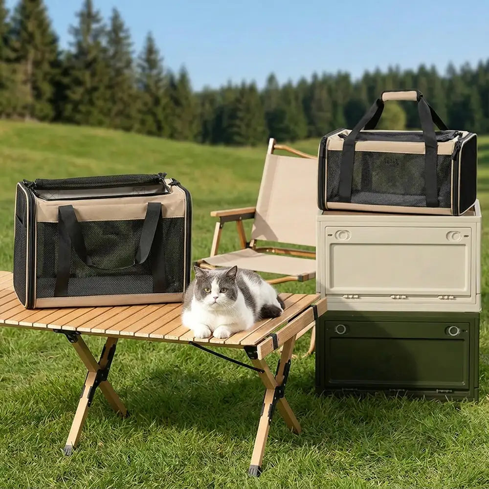 Sac de transport pour chat portable, extensible et respirant pour les voyages et le vétérinaire.
