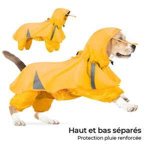 Manteau Imperméable Avec Capuche et Réfléchissant pour Chien