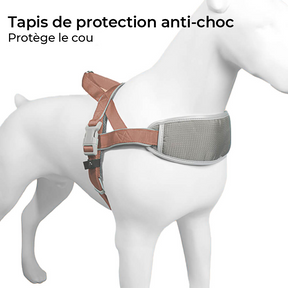 Harnais Anti-Tir Amortisseur avec Protection du Cou et Laisse pour Grand Chien