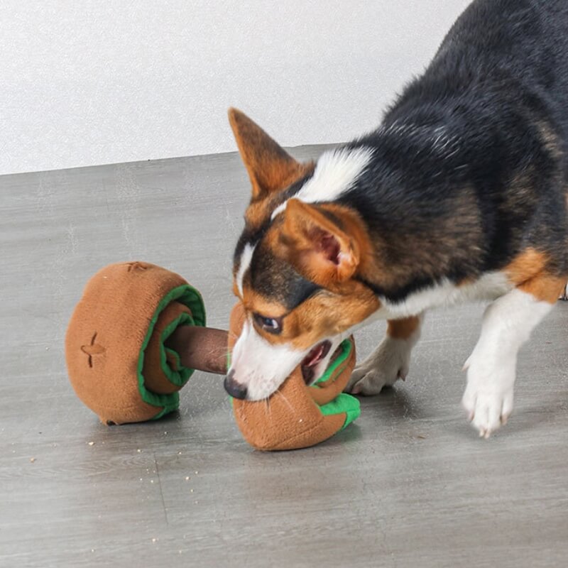 Jouet à Récompenses en Forme de Haltère pour Chien - Distributeur Alimentaire Interactif