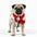 Veste d'hiver à carreaux pour chien avec écharpe festive et confortable pour les fêtes
