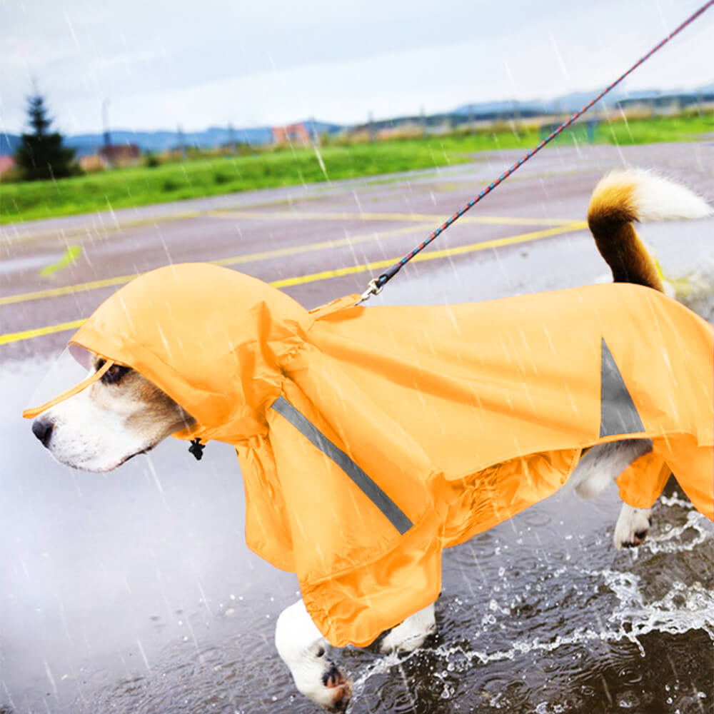 Manteau Imperméable Avec Capuche et Réfléchissant pour Chien