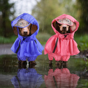 Manteau Imperméable Avec Capuche et Réfléchissant pour Chien