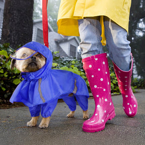 Manteau Imperméable Avec Capuche et Réfléchissant pour Chien