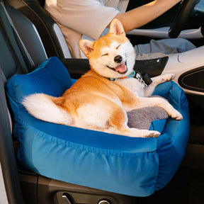 Siège de voiture amovible pour chien sécurité voyage