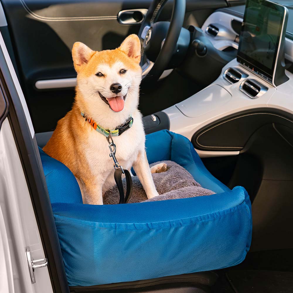 Siège de voiture amovible pour chien sécurité voyage