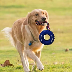 Jouet interactif pour chien en forme de pneu en caoutchouc pour dentition et mastication