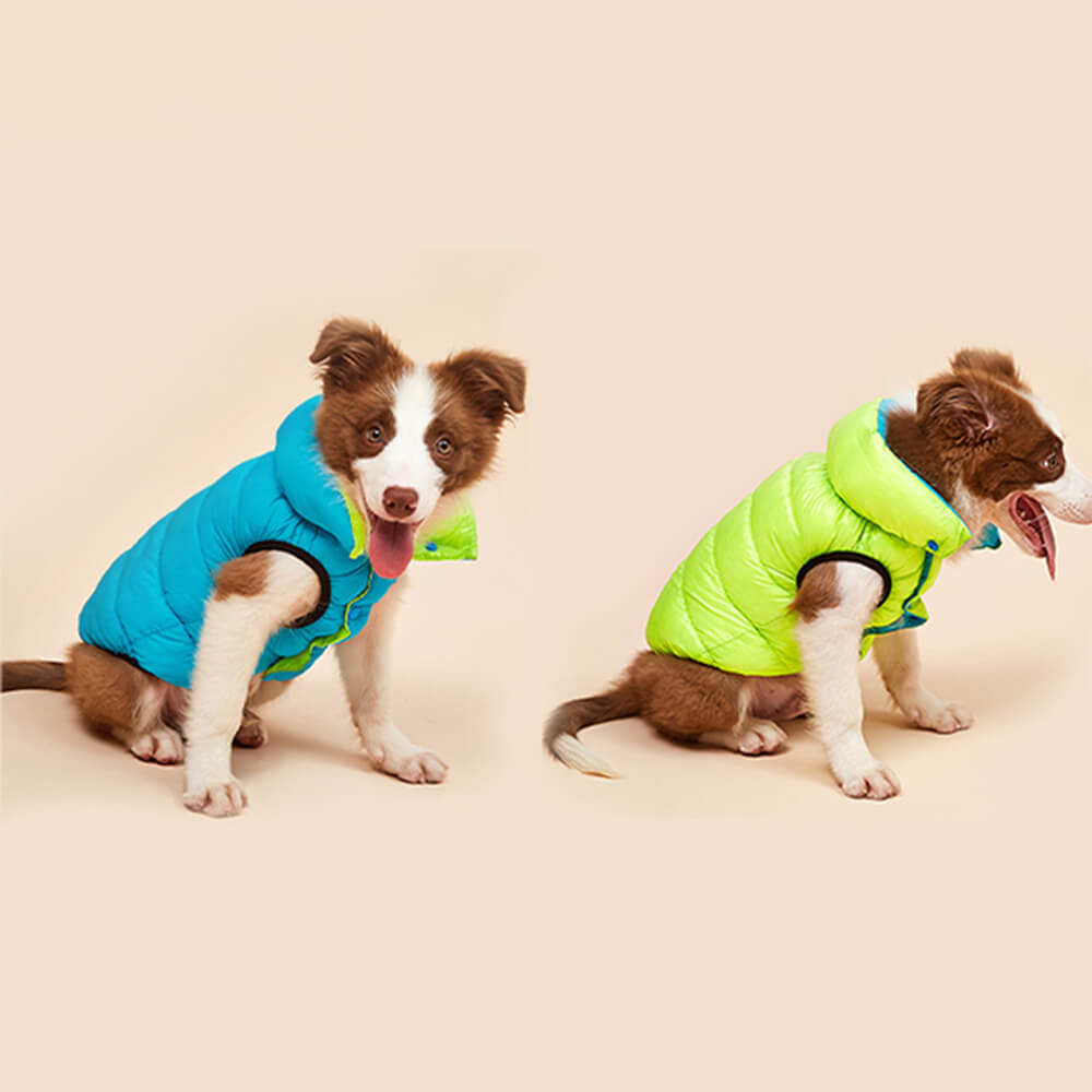 Veste réversible légère et chaude pour chien