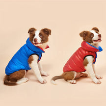 Veste réversible légère et chaude pour chien