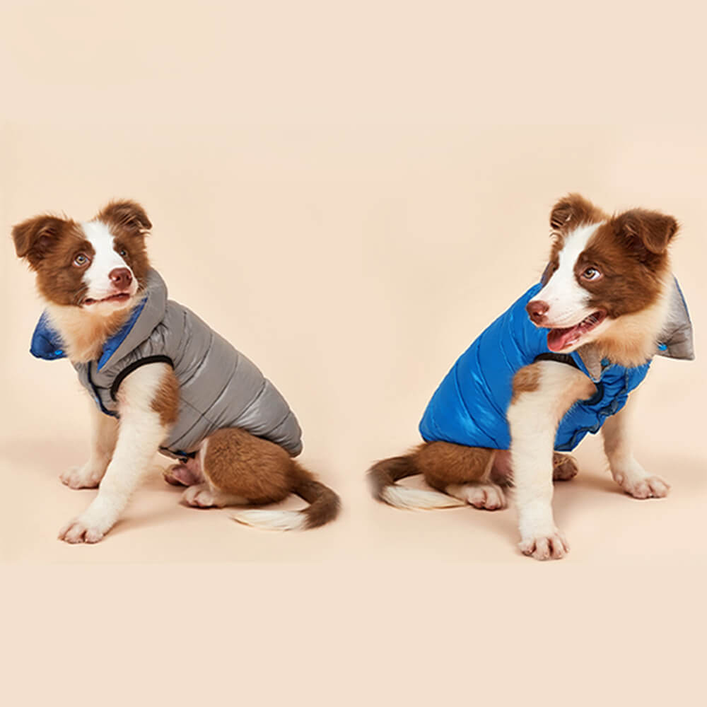 Veste réversible légère et chaude pour chien