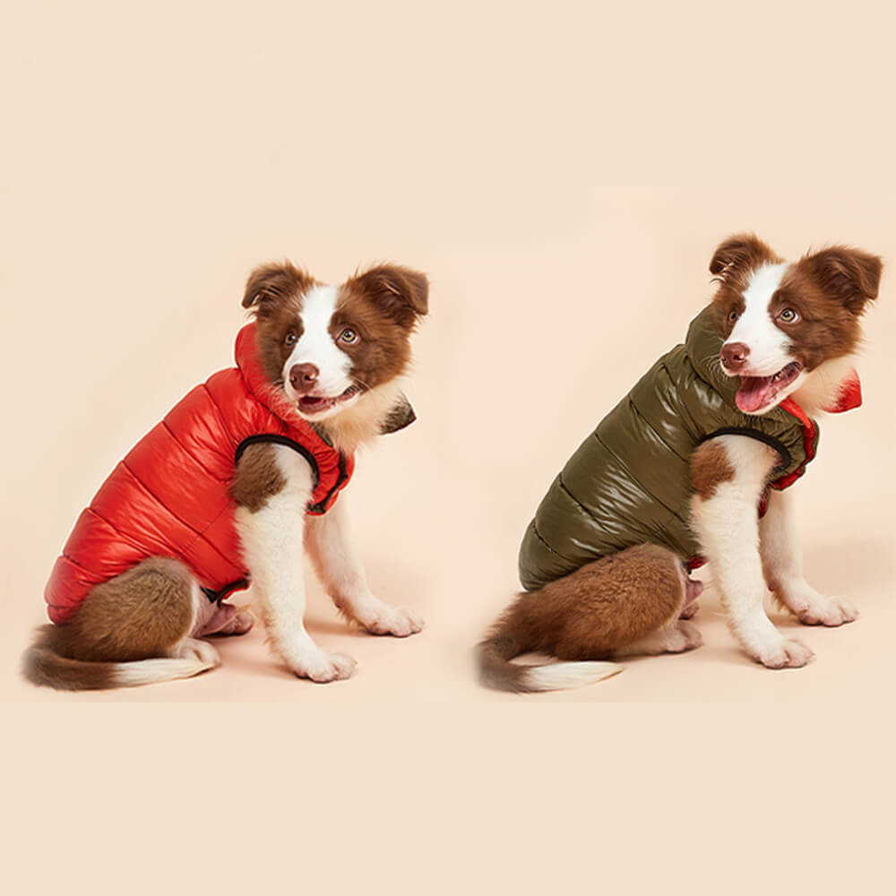 Veste réversible légère et chaude pour chien