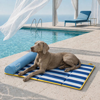 Tapis rafraichissant chien portable pour grand chiens et chat - Chill Nest