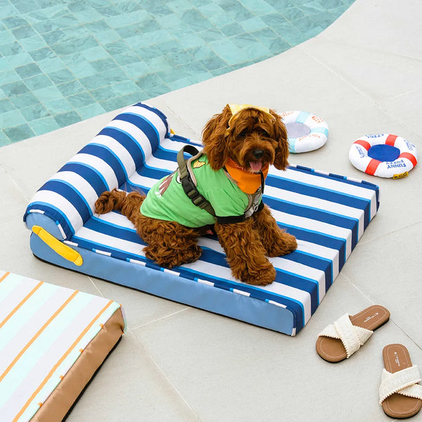 Lit orthopédique tapis rafraichissant chien - Chill Nest