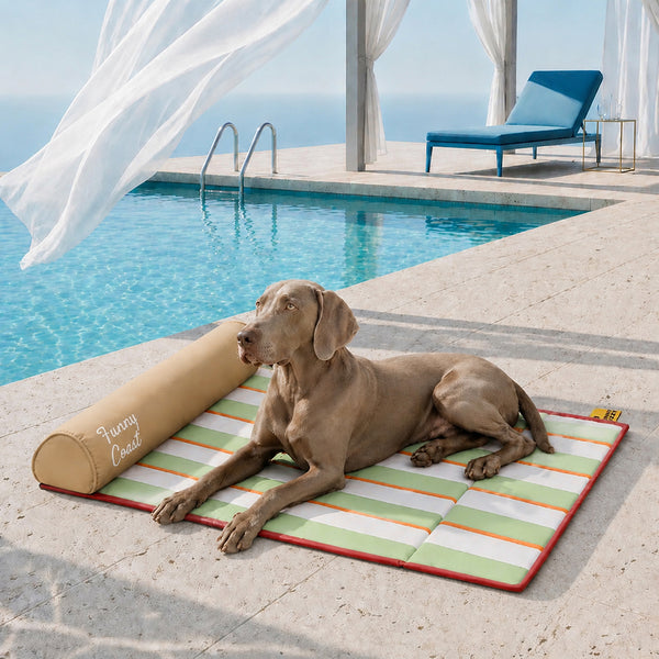 Tapis rafraichissant chien portable pour grand chiens et chat - Chill Nest