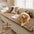 Tapis pour animaux en flanelle douce imperméable, respirant, anti-dérapant pour canapé.