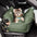 ISOFIX Siège de voiture pour chien avec système LATCH - Première classe