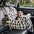 Siège de voiture pour chien ISOFIX portable avec système