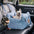 Siège de voiture pour chien ISOFIX portable avec système