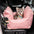 ISOFIX Siège de voiture pour chien avec système LATCH - Première classe