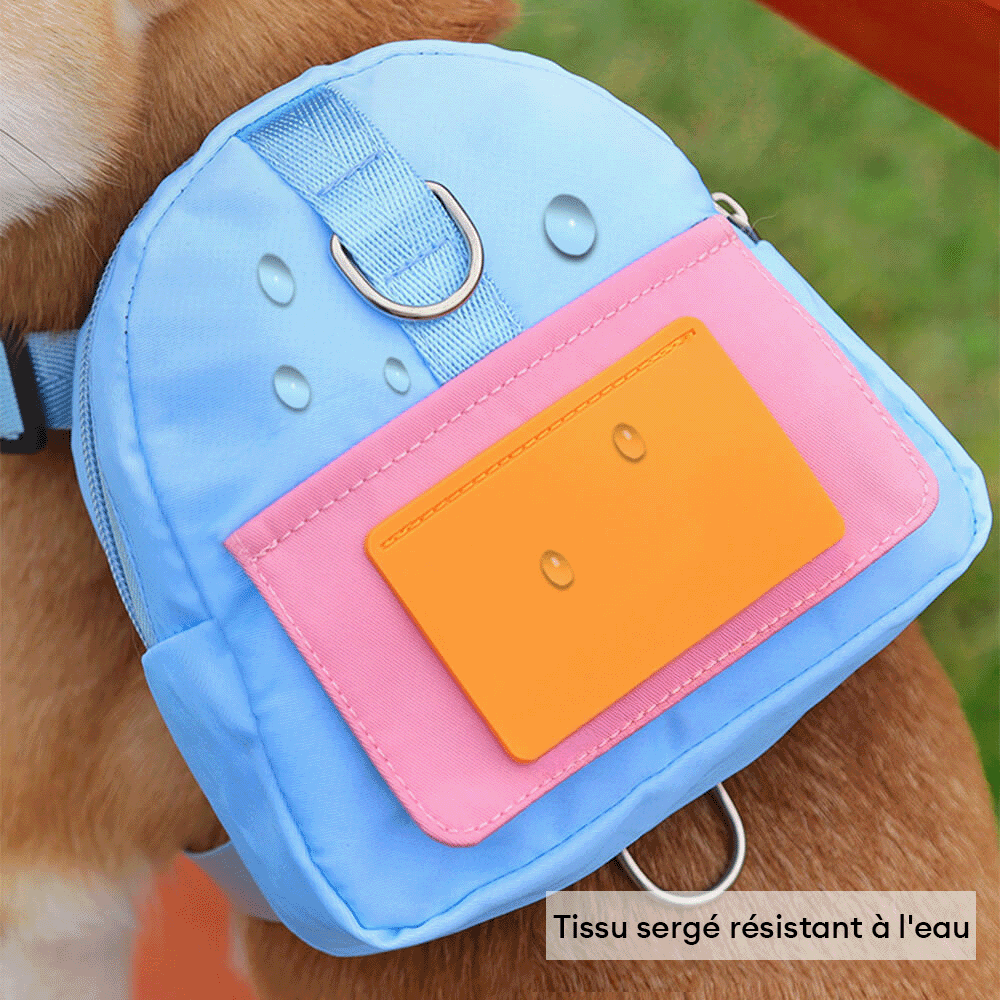 Sac à dos pour animaux de compagnie d'aventure en plein air avec laisse à la mode