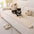 Tapis pour chien matelassé à motif de brique souple, couverture de canapé antidérapante